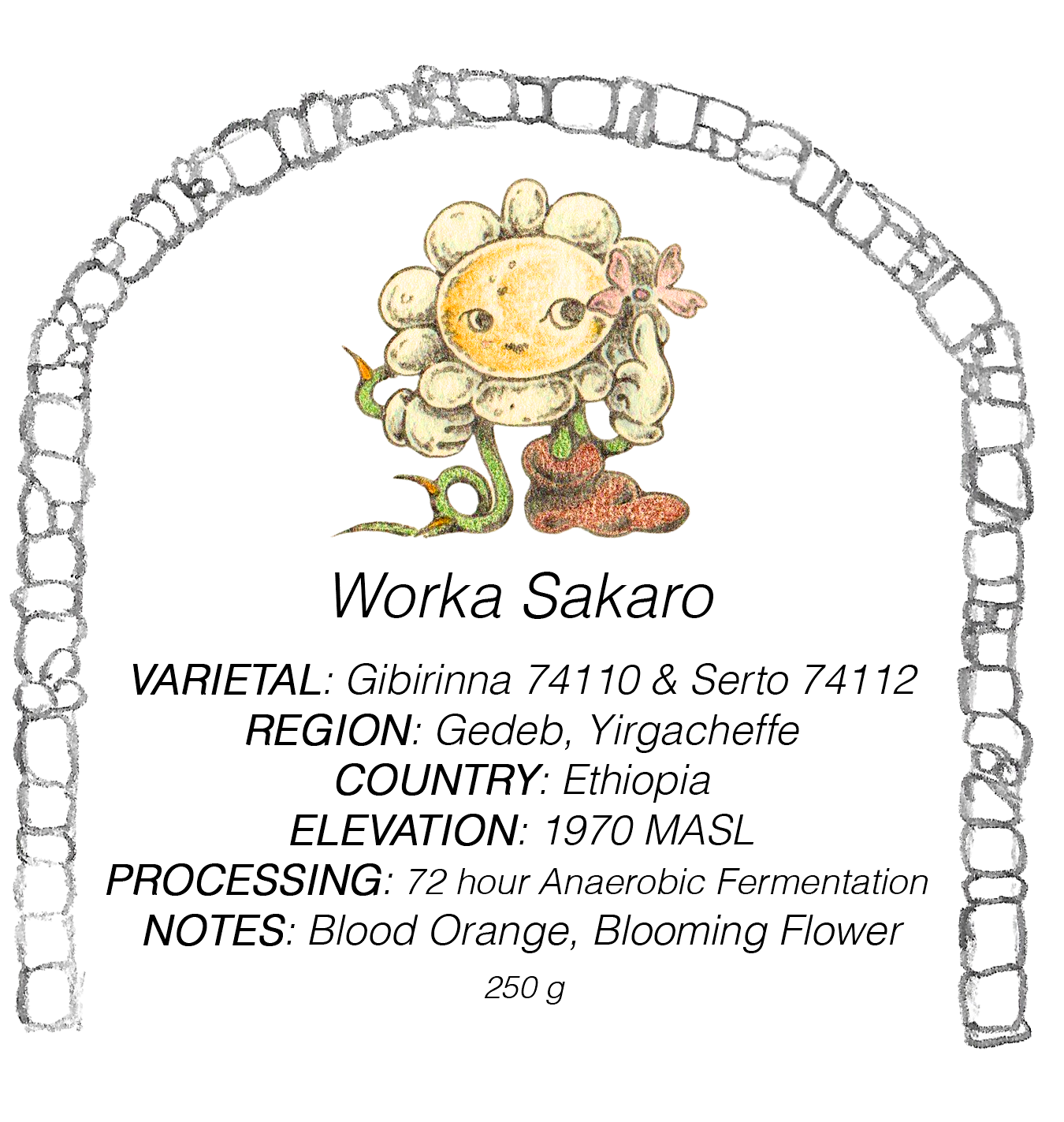 Ethiopia - Worka Sakaro